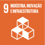 ODS 9 - indústria, inovação e infraestrutura