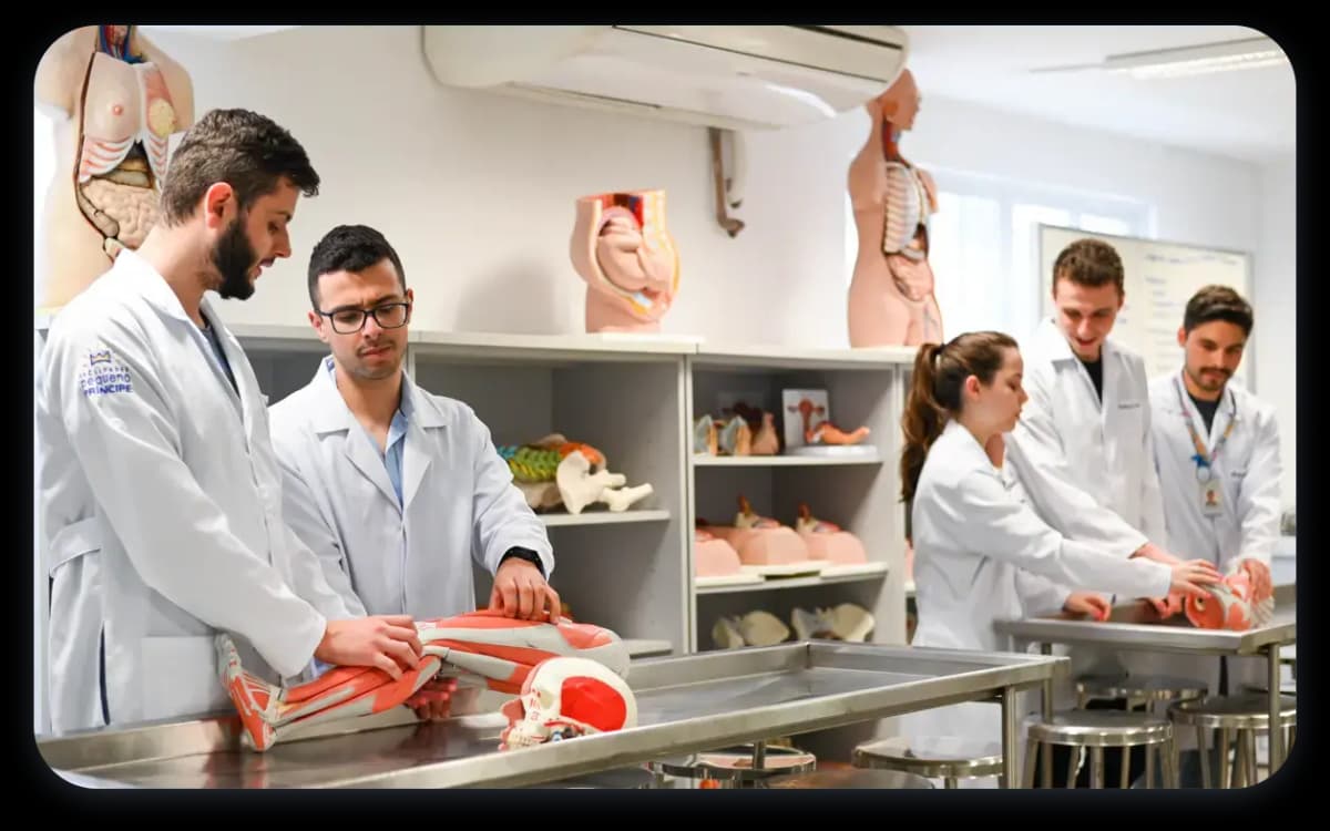 Alunos de medicina da Faculdades Pequeno Príncipe estudando anatomia