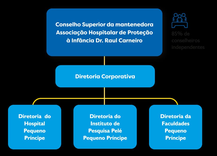 Infográfico da Estrutua de Governança