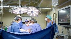 Hospital Pequeno Príncipe promove curso prático com técnicas de correções de malformações urogenitais