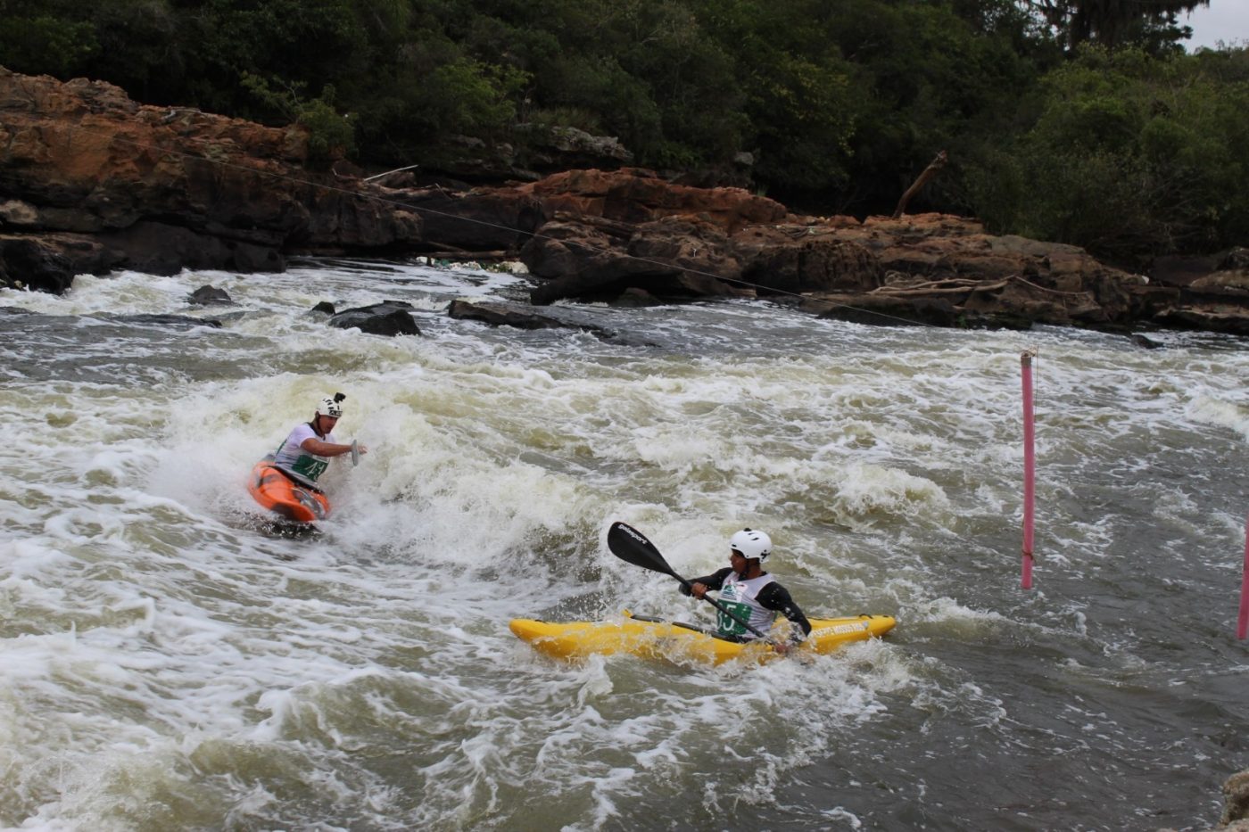 Re-Conhecer e Reviver o Rio Iguaçu