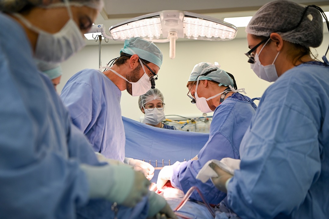 2025 no Pequeno Príncipe