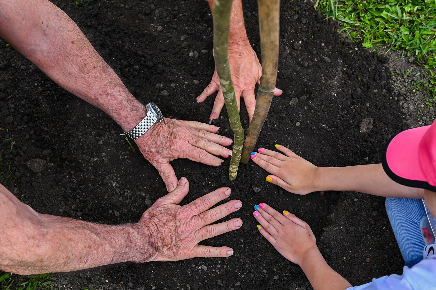 plantio de mudas no Parque Náutico