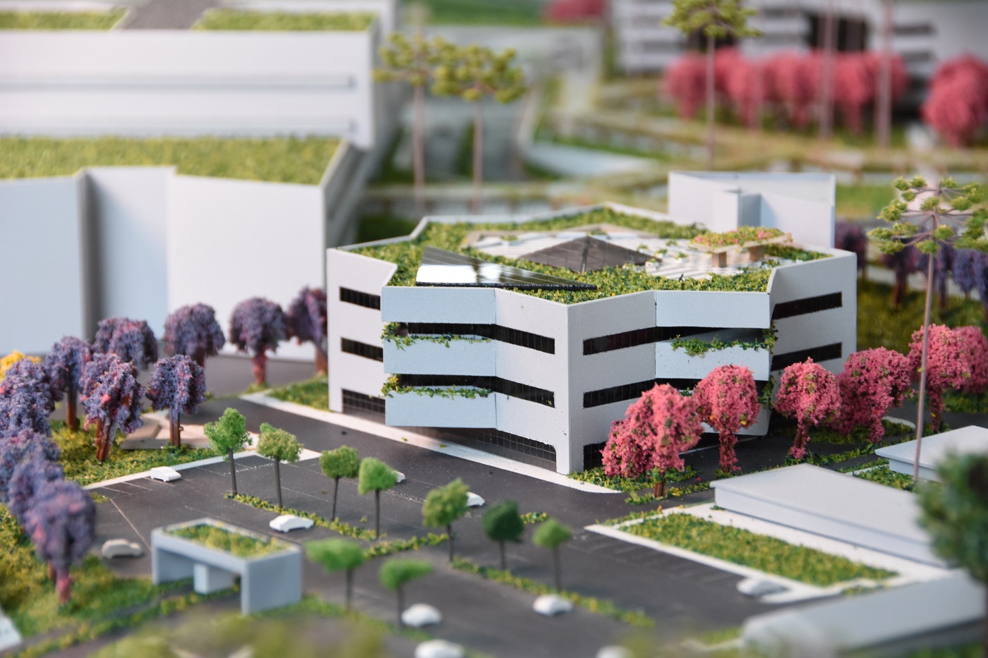 Início das obras do Hospital-Dia